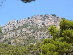 Valle de Leiva-Perdiz 2010